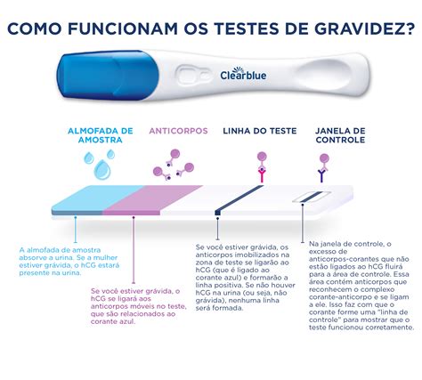 Cálculo da Beta-hCG: Um Guia Completo para o Acompanhamento da Gravidez