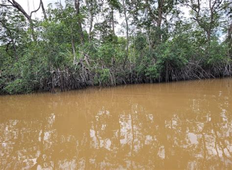 Côte d'Ivoire : un guide complet