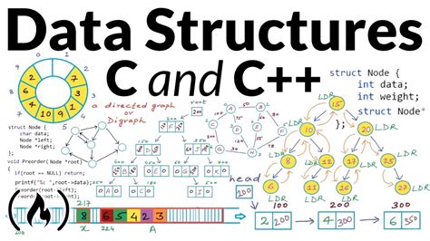 C and Data Structures Reader