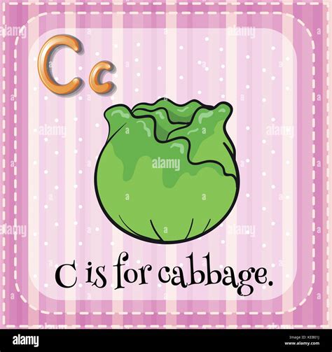 C is for Cabbage Kindle Editon