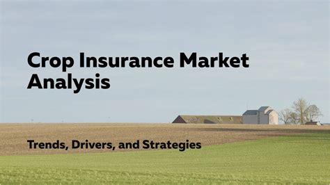 C2 Market: A Comprehensive Analysis of the Market Landscape, Growth Drivers, and Emerging Trends