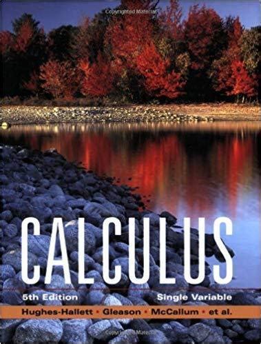 CALCULUS SINGLE VARIABLE 5TH EDITION Ebook PDF