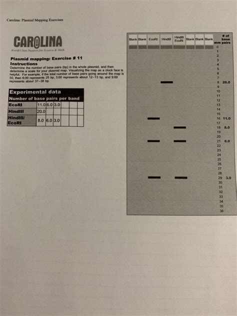 CAROLINA PLASMID MAPPING EXERCISE ANSWERS Ebook Doc