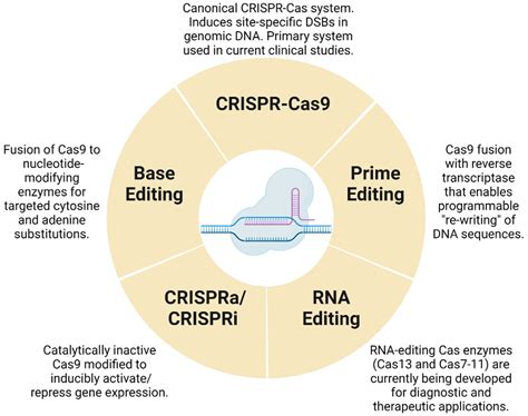 CAS13D31-472: The CRISPR Enzyme that is Reshaping Diagnostics and Therapeutics