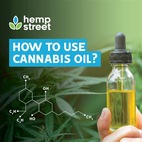 CBD And Hemp Oil The Complete Beginners And Pro Guide PDF