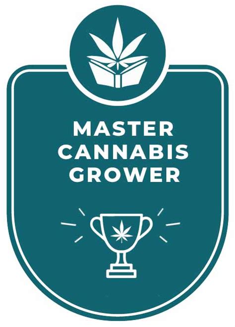 CBD College Login: Your Gateway to Online Cannabis Education