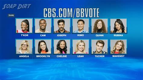 CBS Big Brother Vote: A Comprehensive Guide to Casting Your Vote