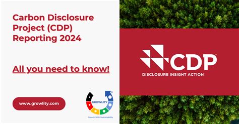 CDP Carbon Disclosure Project: Empowering Sustainability