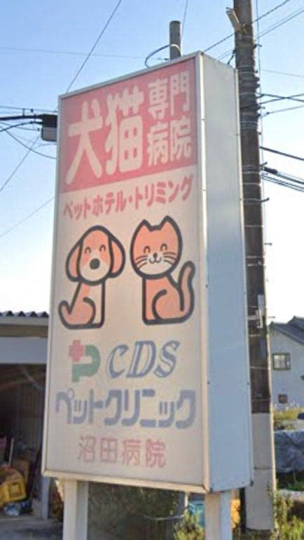 CDSペットクリニック沼田病院でペットの健康を守る