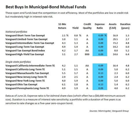 CEF Municipal Bond Funds: A Comprehensive Guide to Enhanced Returns