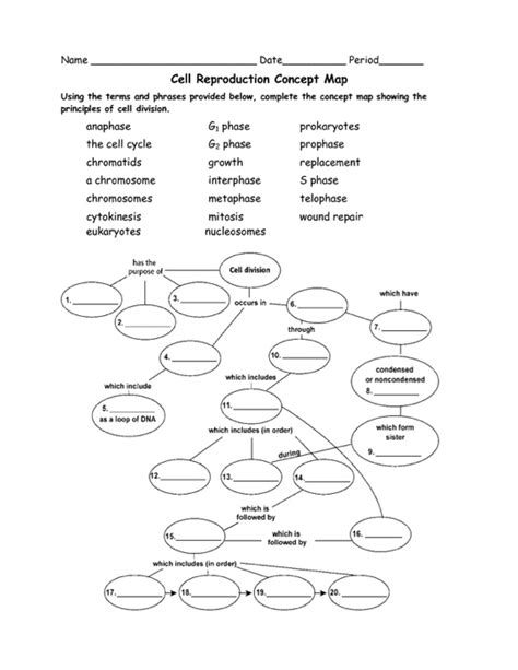 CELL REPRODUCTION CONCEPT MAP ANSWERS Ebook Kindle Editon