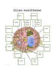 CELLS ALIVE ANIMAL CELL ANSWERS Ebook Doc