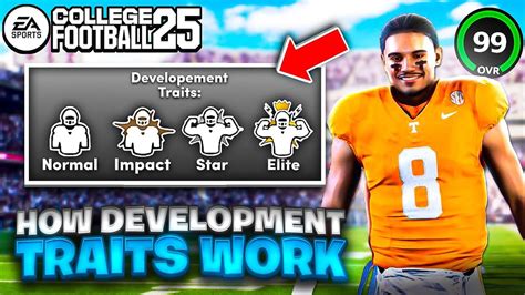 CFB 25 Dev Traits: A Comprehensive Guide to Becoming an Elite Software Developer