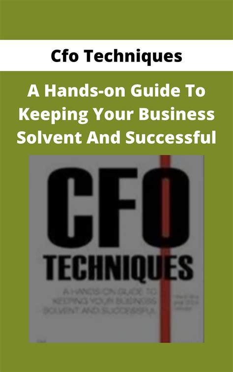 CFO Techniques A Hands-On Guide to Keeping Your Business Solvent and Successful PDF