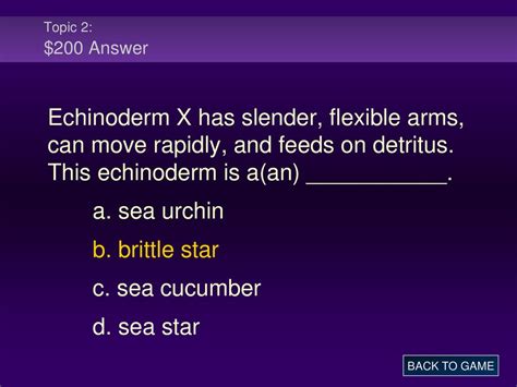 CHAPTER 28 ARTHROPODS AND ECHINODERMS SECTION REVIEW ANSWER KEY Ebook PDF