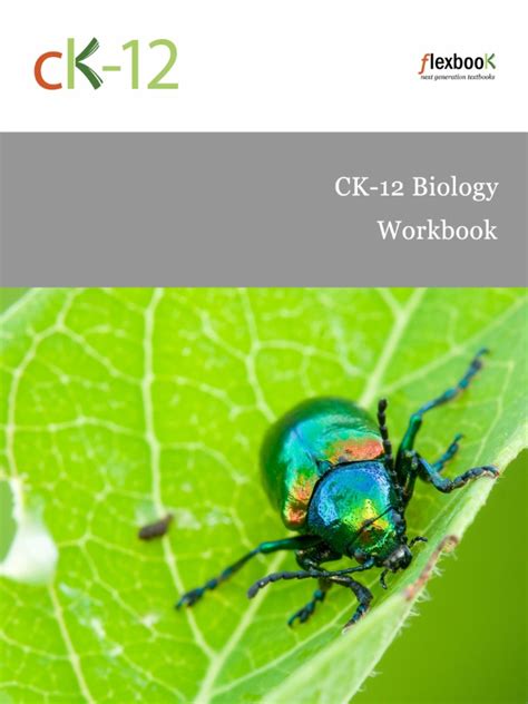 CK 12 BIOLOGY WORKBOOK ANSWERS Ebook Kindle Editon