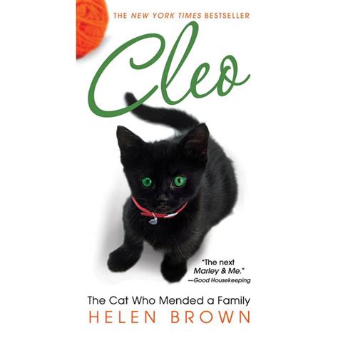 CLEO The Cat Who Mended a Family Doc