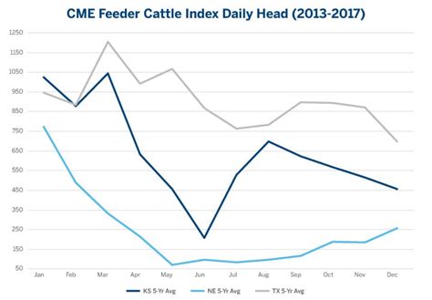 CME Group Feeder Cattle: A Deep Dive