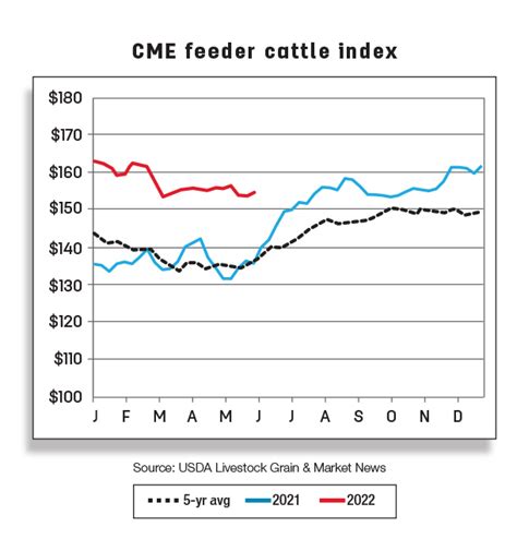 CME Group Feeder Cattle: The Ultimate Guide to 2025's Market