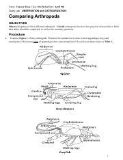 COMPARING ARTHROPODS LAB ANSWERS Ebook PDF