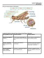 COMPARING ARTHROPODS LAB ANSWERS Ebook PDF