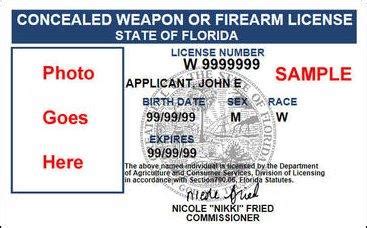 CONCEALED WEAPONS PERMIT SAMPLE TEST Ebook Kindle Editon