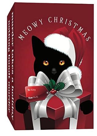 COZY MYSTERIES MEOWY CHRISTMAS COZY MYSTERY BOX SET Kindle Editon