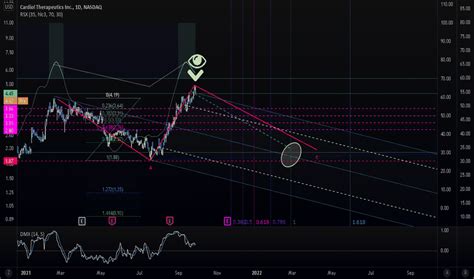 CRDL Stock Price: 24-Month Journey from $43 to $200!