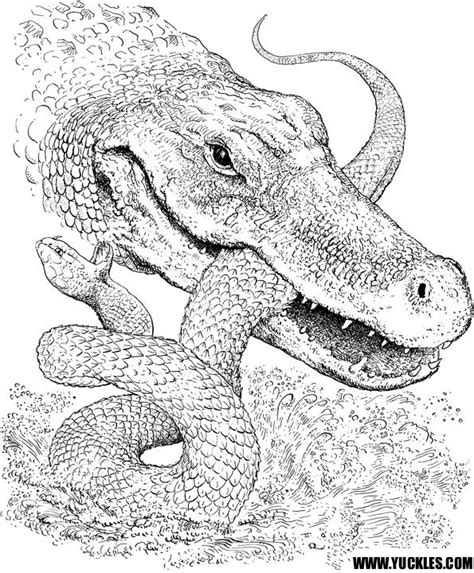CROCODILES COLORING A Crocodiles Coloring Book For Adults Reader