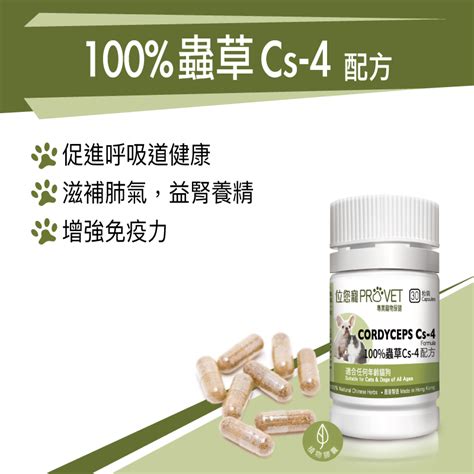 CS4 蟲草：新時代的健康寵兒