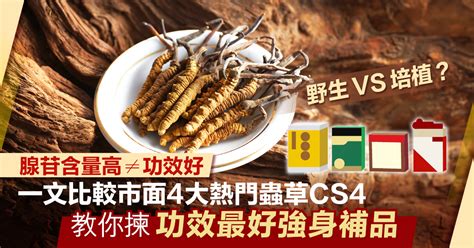 CS4 蟲草 功效：揭開歷久彌新的養生奇蹟