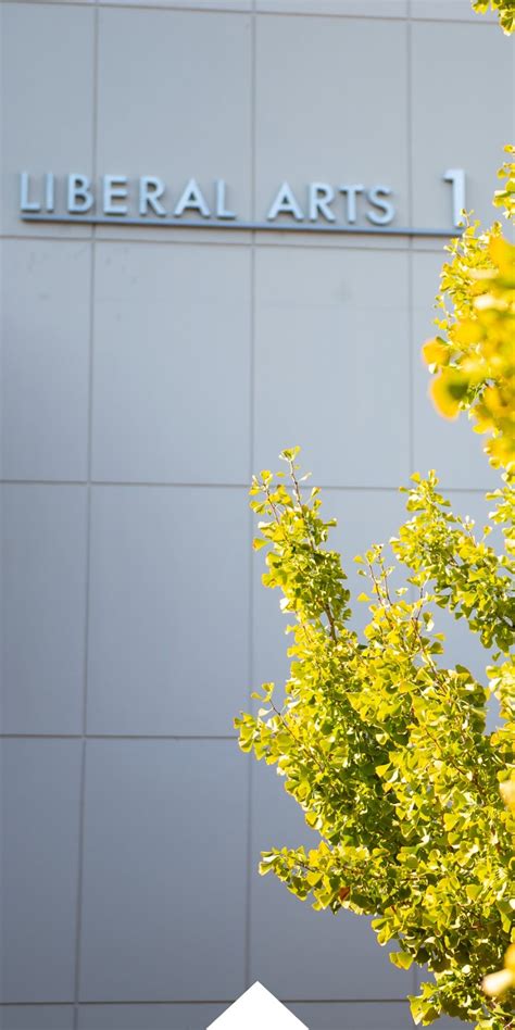CSULB Liberal Arts: Embracing Knowledge, Transforming Lives