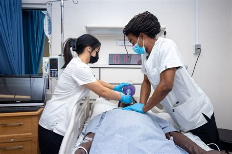 CSULB Nursing Program: An Overview
