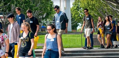CSULB Transfer Acceptance Rate: Your Questions Answered