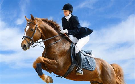 Caballos a Vatios: The Power of Equestrian Sport