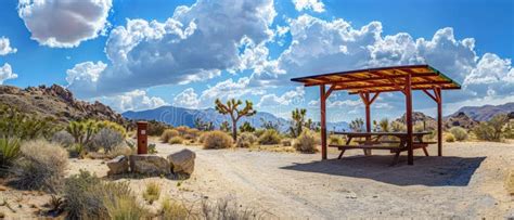 Cabazon, California: A Desert Oasis with Hidden Gems