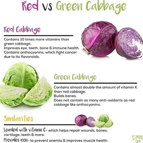 Cabbage Recipes for a Healthy Cabbage Diet Red Green White the Richness and Benefits of Cabbage Reader