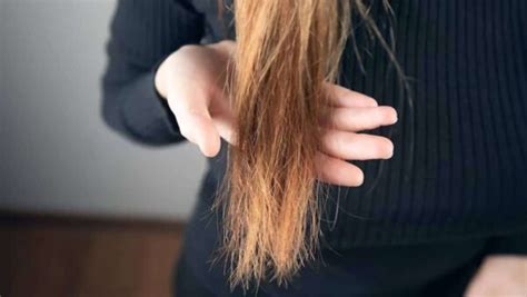 Cabelo Danificado: Guia Definitivo para Reconstrução e Prevenção