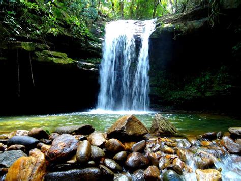 Cachoeiras do Rio de Janeiro: Um refúgio natural para os amantes da aventura e da natureza