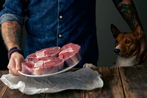 Cachorros Podem Comer Carne de Porco? O Guia Definitivo