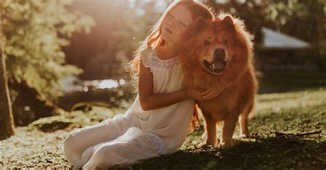 Cachorros Raças: Guia Completo para Escolher o Seu Melhor Amigo