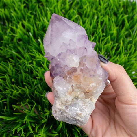 Cactus Quartz: A Crystal Awakening Transformation