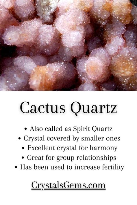 Cactus Quartz: A Healing Crystal with Multifaceted Benefits