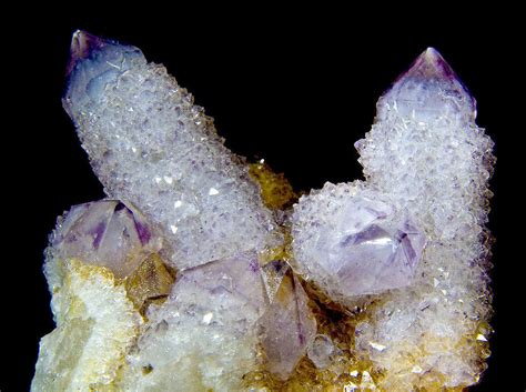 Cactus Quartz: A Mystical Crystal with Unparalleled Power