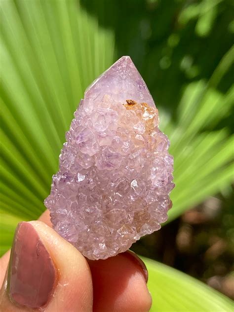 Cactus Quartz: A Symbol of Evolution and Transformation