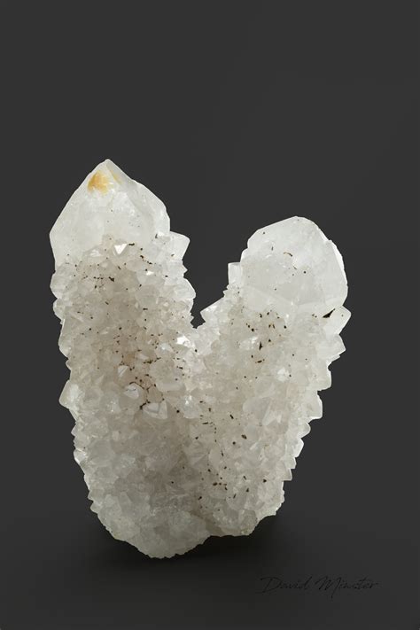 Cactus Quartz: The Stone of Growth and Protection