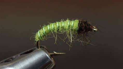 Caddis Larva Fly Pattern