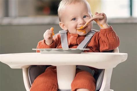 Cadeira de Alimentação para Bebês: Guia Completo para Escolher a Melhor