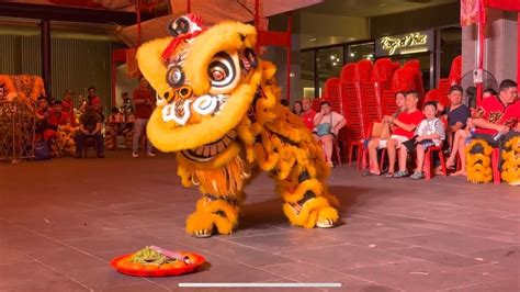 Cai Qing: The Enchanting Dance of the Green Lion