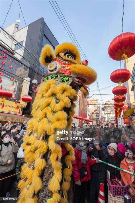 Cai Qing Lion Dance: A Colorful Celebration of Chinese Culture